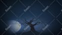 create a premium custom logo reveal animation