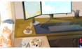 make loop animation for your anime character and background with live2d animate