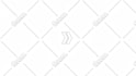 create professional custom logo animation