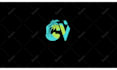 create a professional custom logo animation