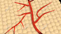 do 3d medical animation for a product or procedure