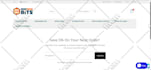 do shopify bug fixing