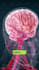 edit your long and short form talking head and more videos with motion graphics