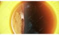 create 3d alien planet logo animation