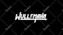 create totally custom logo animation