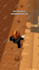make roblox rant shorts that will go viral