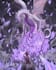 animate your 2d anime artwork, picture, artworks
