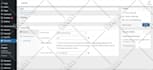 create and customize a professional wordpress website