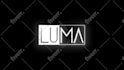 do professional animated logo intro and outro video