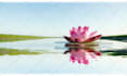 do any photoshop ai image editing, edit, fix, repair, enhance, restore images