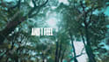 make a stunning animated lyric music video for your song