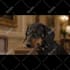 realistic ai videos advertisement