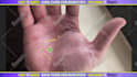 give a palm reading on video in 24h