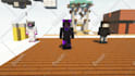 do a professional level minecraft animation