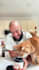 create engaging cat ugc video ads for your pet brand