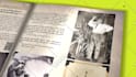 create your magazine and book promo 3d video