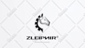 do professional logo animation fast and stylish designs
