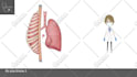 create customized low price whiteboard animation