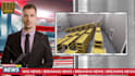 create professionnel ai spokesperson breaking news video