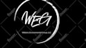 do professional intro animation for your logo