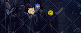 create crypto nft memes and meme coin videos