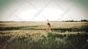 make mesmerizing cinematic book trailer videos
