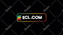 make 100 clean and simple premium logo animation intros