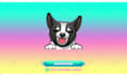 create custom animated emotes
