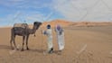deliver funny happy birthday video with camel