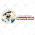 create professional custom logo animation