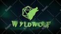 create custom logo animation and video intro in 24 hours