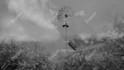 design a spectacular music video with stock footage