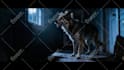 create a cinematic and thriller book trailer teaser  promo