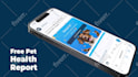 create premium app demo or product promo video for your business