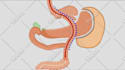create motion graphics and animation