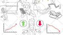 create whiteboard animation explainer video