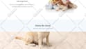 design a modern, fast, responsive wordpress website