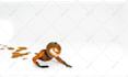do 3d animations, graphics and vector art