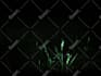 create 3d backrooms environment and liminal space render