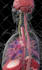3d medical animation 3d medical equipment 3d cgi animation 3d dental animation
