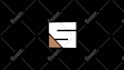 create professional custom logo animation
