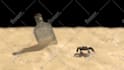 make high quality video game animations