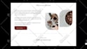 do UI UX designs figma design website ui UX website design