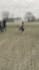 edit your professional sports highlight video editing