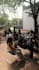 do expert video editing and post production