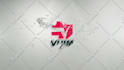 create 3 wonderful intros for your logo