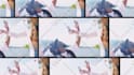 do professional video edit, youtube video editing