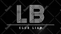 create a professional custom logo animation in 24 hours