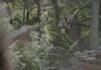 do visual effects,compositing on your videos