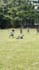 football and any gaming sports highlights video editing